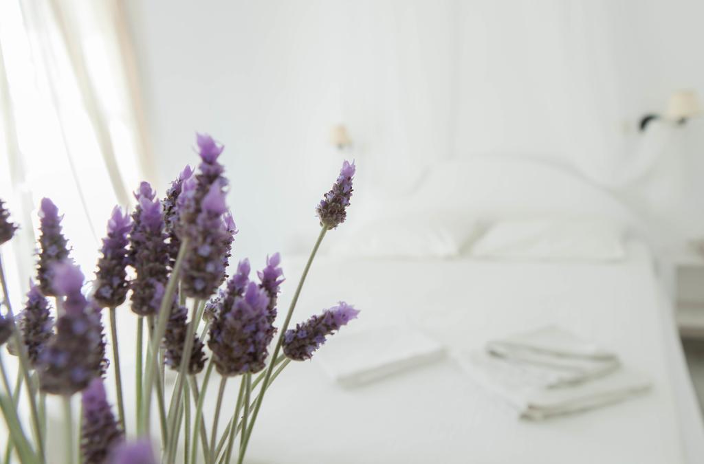 Hotel Begleri Antiparos Room photo